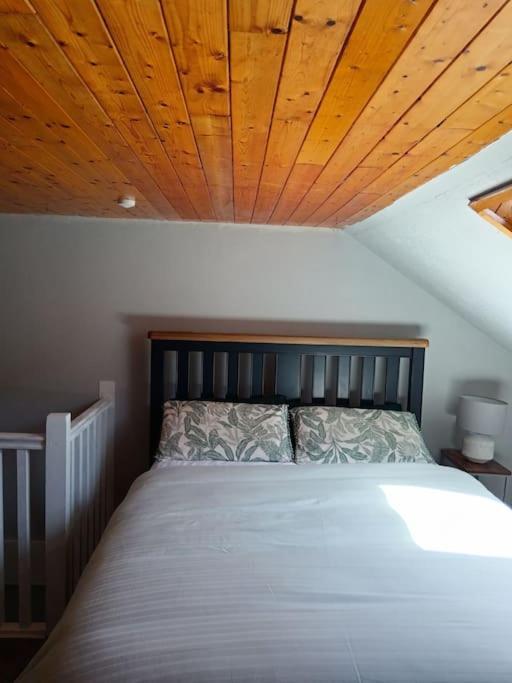 Dingle Escape -2 Bed -Sleeps 4 Lägenhet Exteriör bild