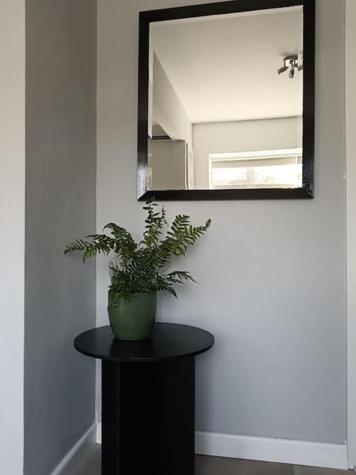 Dingle Escape -2 Bed -Sleeps 4 Lägenhet Exteriör bild