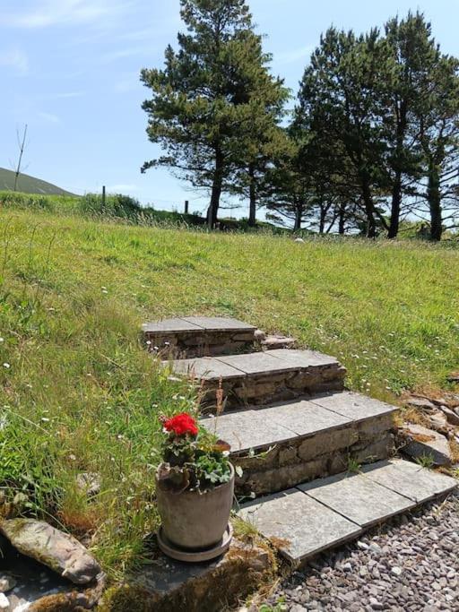 Dingle Escape -2 Bed -Sleeps 4 Lägenhet Exteriör bild